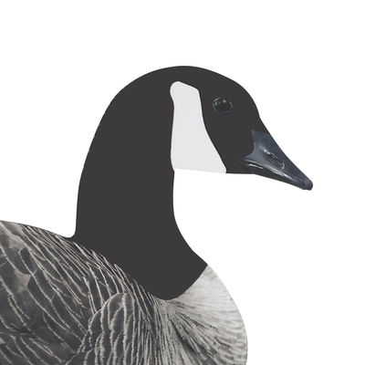 Custom Plastic PP Lifelike goose silhouette decoys Anti Reflective canada goose decoys