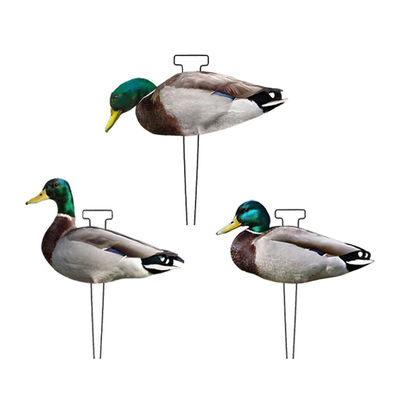 Custom PP Mallard Silhouette Decoys For Hunting Waterproof Anti Reflective Multiple Style