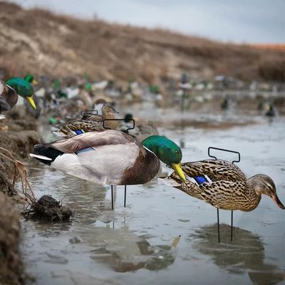Custom PP Mallard Silhouette Decoys For Hunting Waterproof Anti Reflective Multiple Style