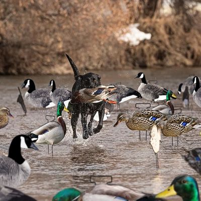 Custom PP Mallard Silhouette Decoys For Hunting Waterproof Anti Reflective Multiple Style