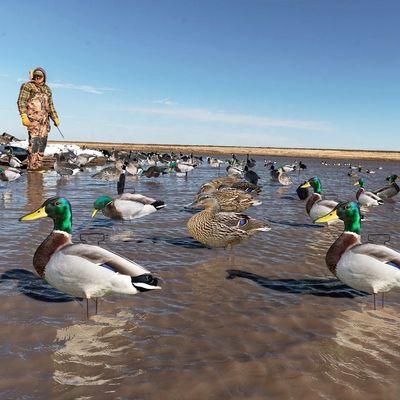 Silhouette Mallard Drake Hen Hunting Decoy 43x26CM 45x22CM 48x18CM Light Weight