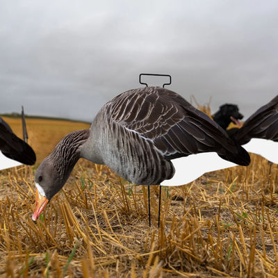 Silhouette Specklebelly Goose Hunting Decoy Custom Plastic Anti Reflective PP Goose Decoy