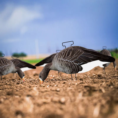 Anti Reflective Goose Hunting Decoy PP Goose Silhouette Decoys Customized