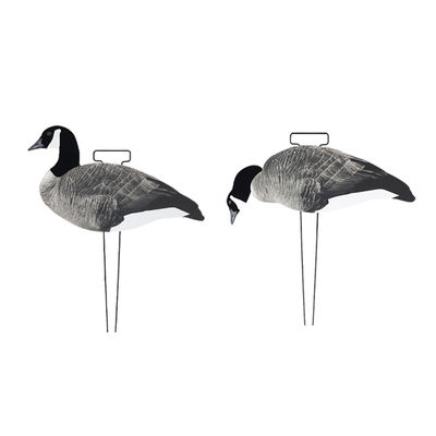 OEM ODM Plastic EVA Canada Snow Goose Decoy Upright / Feeder Style With Flocked Head