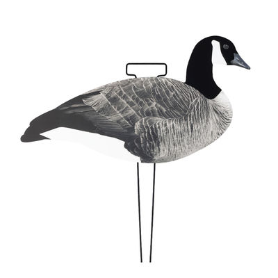 OEM ODM Plastic EVA Canada Snow Goose Decoy Upright / Feeder Style With Flocked Head