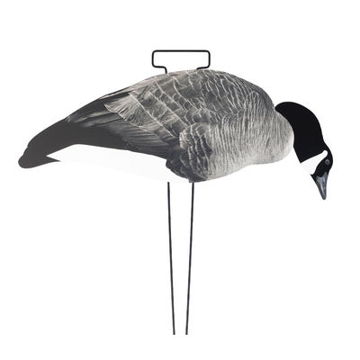 OEM ODM Plastic EVA Canada Snow Goose Decoy Upright / Feeder Style With Flocked Head