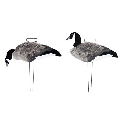 Lightweight 3D Lifelike Hunting Decoy Silhouett Canada Goose with Flocked Head and Tail