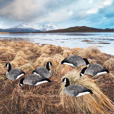 Lightweight 3D Lifelike Hunting Decoy Silhouett Canada Goose with Flocked Head and Tail