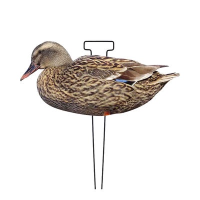 1200g Lifelike Hunting Decoys PP Board Silhouette Decoys Recyclable Anti Scratch
