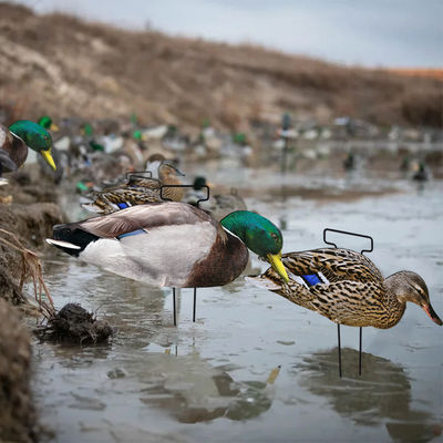 1200g Lifelike Hunting Decoys PP Board Silhouette Decoys Recyclable Anti Scratch