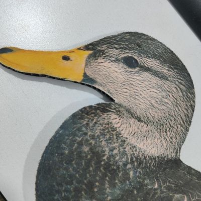 Waterproof Plastic Black Duck Silhouette Decoys for Hunting Custom Multiple Style