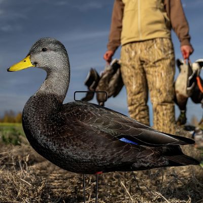 Waterproof Plastic Black Duck Silhouette Decoys for Hunting Custom Multiple Style