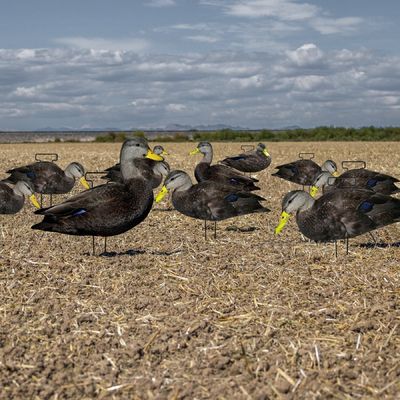 Waterproof Plastic Black Duck Silhouette Decoys for Hunting Custom Multiple Style