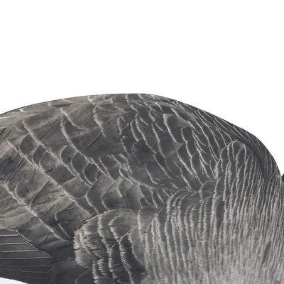 Anti Reflective Plastic GOOSE Hunting Decoy PP Silhouette Branta Canada Goose Decoys