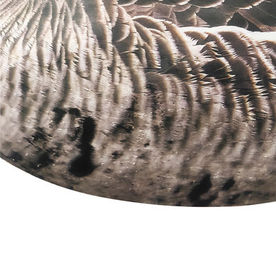 Waterproof Plastic Lifelike Anti Scratch Silhouette Geese Decoy For Specklebelly Goose Hunting