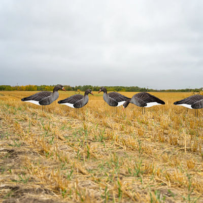 Waterproof Plastic Lifelike Anti Scratch Silhouette Geese Decoy For Specklebelly Goose Hunting