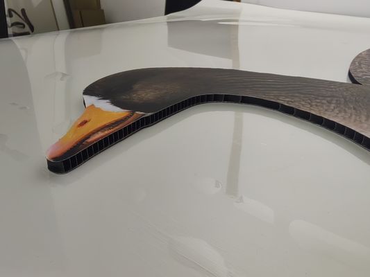 Waterproof Plastic Lifelike Anti Scratch Silhouette Geese Decoy For Specklebelly Goose Hunting