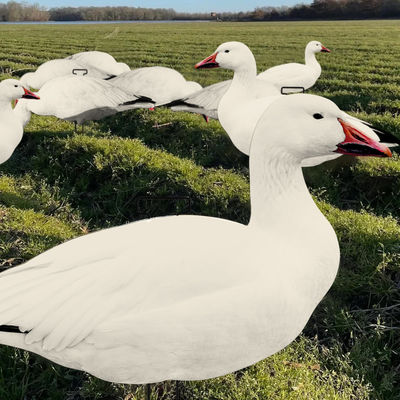 Feeder Body Lifelike Eva Plastic Silhouette Geese Decoy For Juvenile Snow Goose Rester Bait