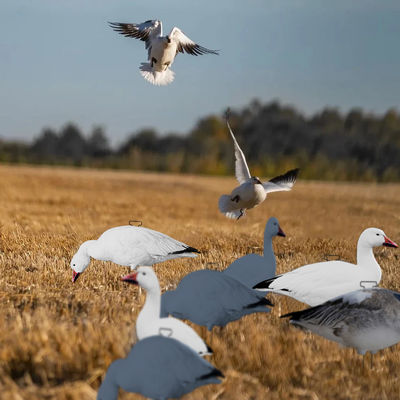 Feeder Body Lifelike Eva Plastic Silhouette Geese Decoy For Juvenile Snow Goose Rester Bait