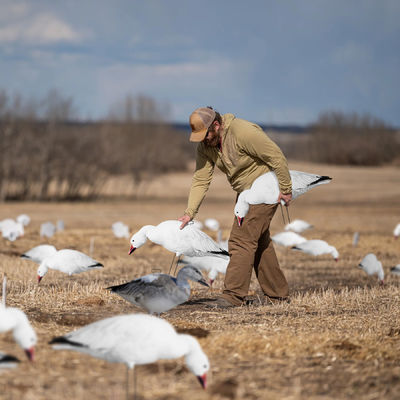 Feeder Body Lifelike Eva Plastic Silhouette Geese Decoy For Juvenile Snow Goose Rester Bait