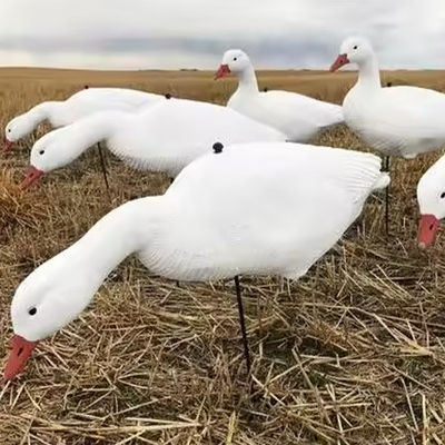 76x23x23cm EVA Foam Floating Snow Goose Decoys Full Body Customized For Hunting