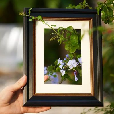 Light Luxury Wood Wall Picture Frame Digital Printing Children's Art Sketch Gouache Frame