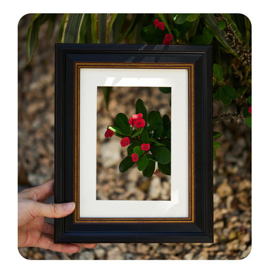 Light Luxury Wood Wall Picture Frame Digital Printing Children's Art Sketch Gouache Frame