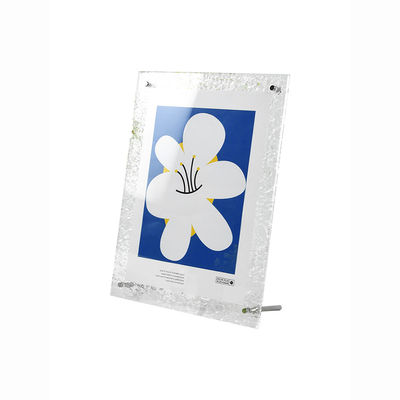OEM Transparent Small Picture Frames Double Sided 30.5x30.5cm Plastic Photo Frame