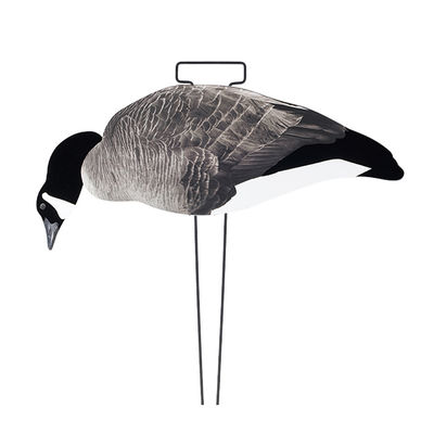 Lightweight 3D Lifelike Hunting Decoy Silhouett Canada Goose with Flocked Head and Tail
