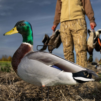 Waterproof PP Board Mallard Duck Silhouette Decoys Anti Reflective Design 20" Stake